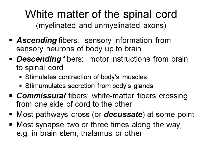 White matter of the spinal cord (myelinated and unmyelinated axons) Ascending fibers:  sensory